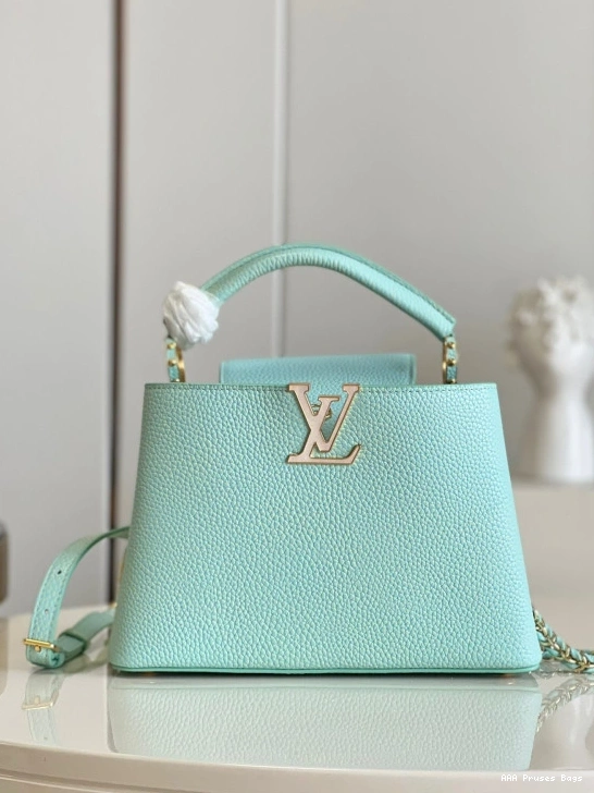 AAA Replica Ru BB CAPUCINES VUITTON LOUIS 0819
